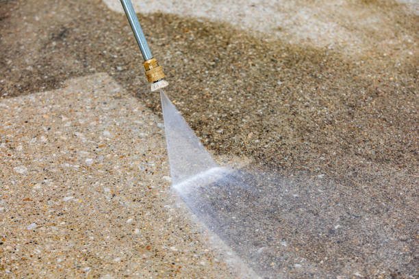 Best Dumpster Area Cleaning  in Canastota, NY