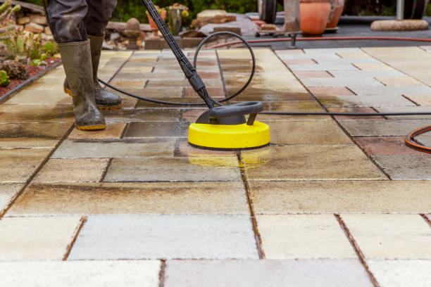 Best Animal Enclosure Cleaning  in Canastota, NY